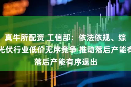 真牛所配资 工信部：依法依规、综合治理光伏行业低价无序竞争 推动落后产能有序退出