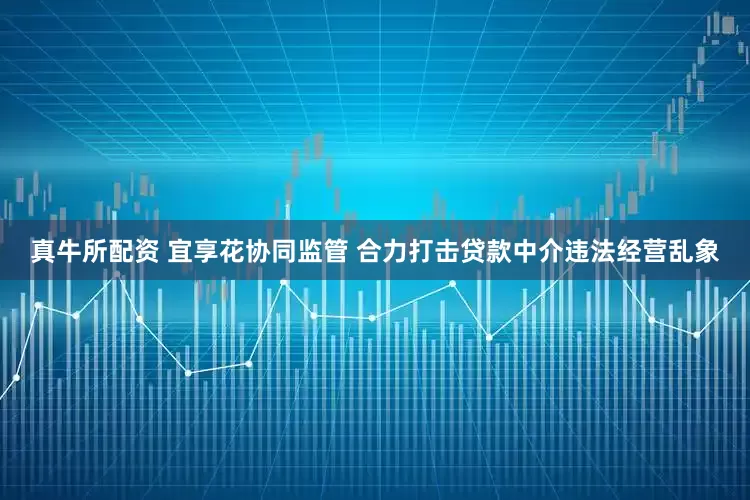 真牛所配资 宜享花协同监管 合力打击贷款中介违法经营乱象