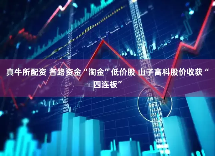 真牛所配资 各路资金“淘金”低价股 山子高科股价收获“四连板”
