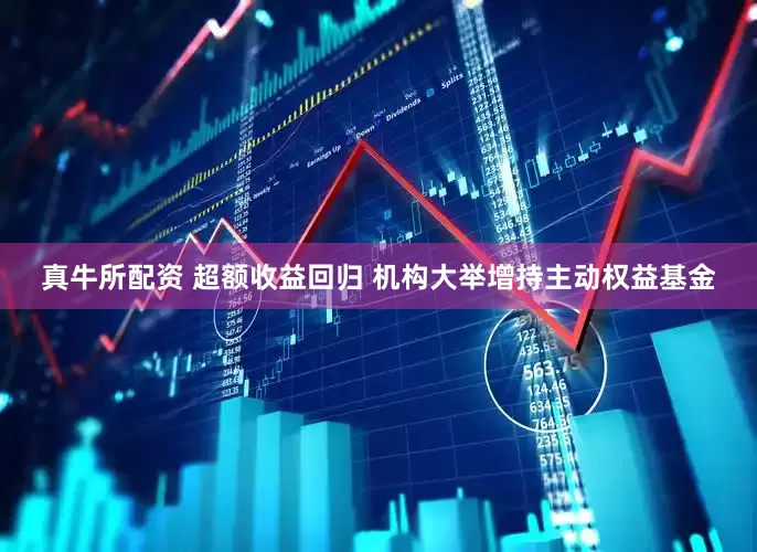 真牛所配资 超额收益回归 机构大举增持主动权益基金