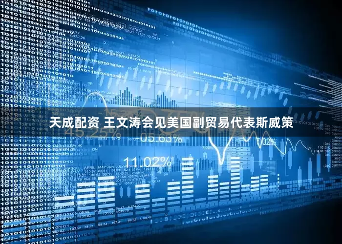 天成配资 王文涛会见美国副贸易代表斯威策